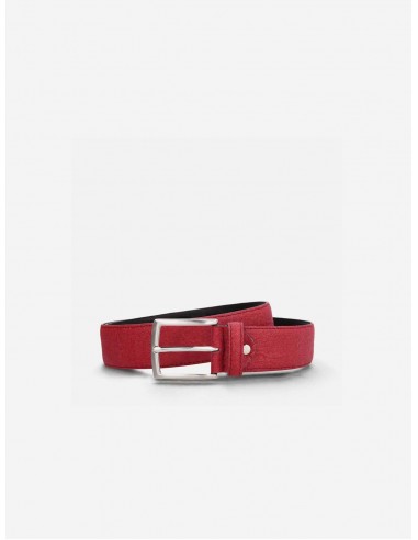 Seva Men's Piñatex Vegan Leather Belt | Red en ligne des produits 