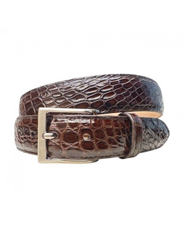 Kashani Brown Classic Alligator Belly Belt est présent 