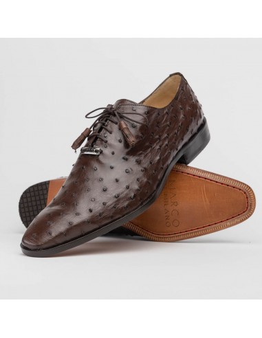 Marco Di Milano Criss Brown Ostrich Quill Dress Shoes l'évolution des habitudes 