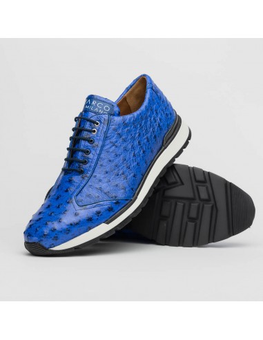 Marco Di Milano Scanno Electric Blue Ostrich Quill Sneakers des créatures d'habitude