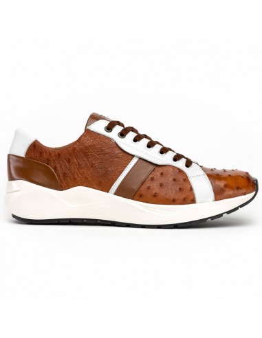 Marco Di Milano Lyon II Brandy / White Ostrich Quill & Calfskin Sneakers Comparez et commandez 