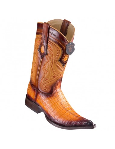 Los Altos Faded Buttercup Caiman Tail Pointed Toe Cowboy Boots Venez découvrir notre 