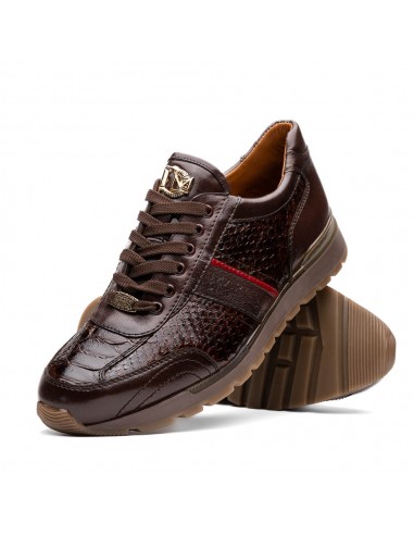 Marco Di Milano Brescia Brown Python & Calfskin Sneakers Venez découvrir notre 