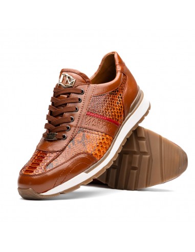 Marco Di Milano Brescia Honey Python & Calfskin Sneakers de technologie