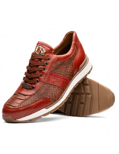 Marco Di Milano Brescia Antique Cognac Python & Calfskin Sneakers store