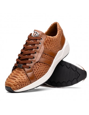 Marco Di Milano Verona Honey Python & Calfskin Sneakers en ligne des produits 