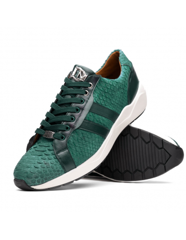 Marco Di Milano Verona Green Python & Calfskin Sneakers rembourrage situé sous